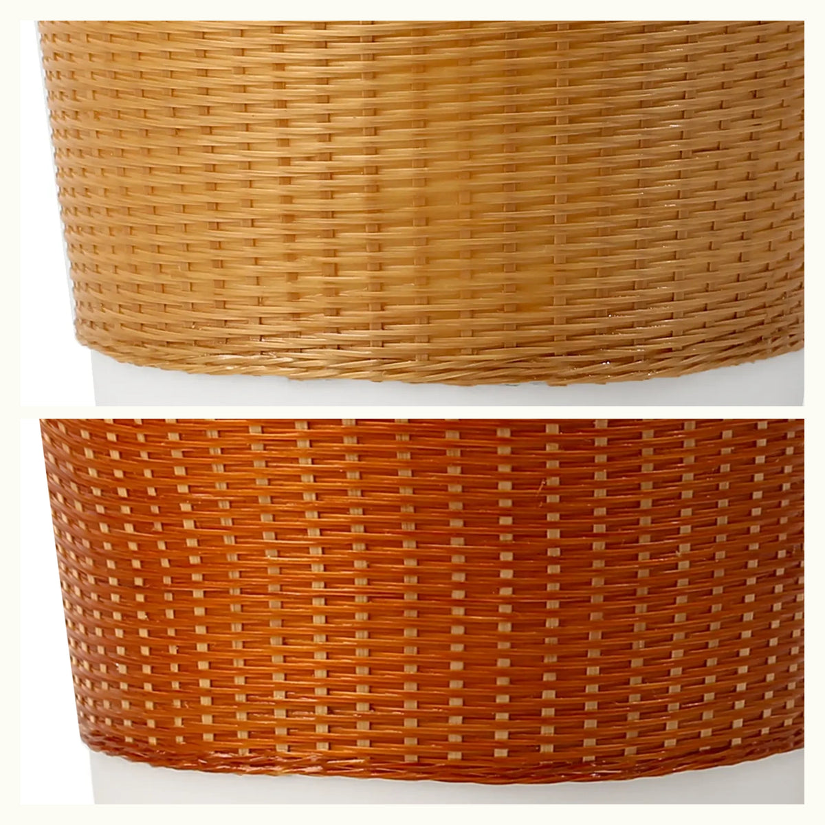 Bamboo over Porcelain Daily Cup